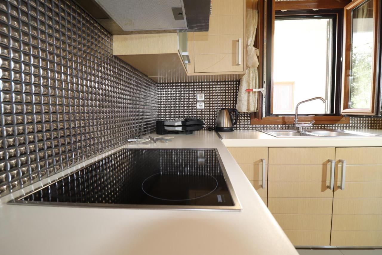 Apartment Theonymfi Luxury *